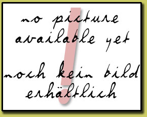 Die Misfits Of Science | Das Team im Sunday Funday Lieferwagen